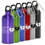 22 oz. Aluminum Bottle