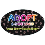 Removable Euro Bumper Sticker - Full Color