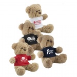 Honey Plush Bear With Tee